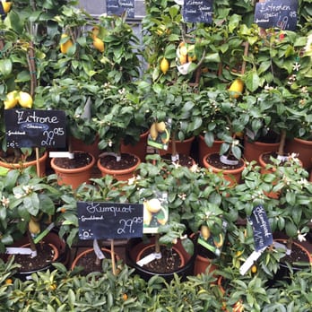 Kögel - Florists Near Me - Hamburg, HH