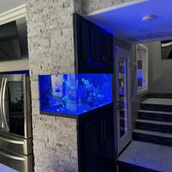 Fish By Design - 125 Gallon Mixed Reef Tank