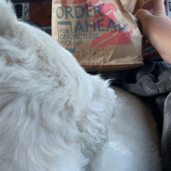 Taco Bell - My food bag and cute dog - Fast Food Near Me - Anderson, California