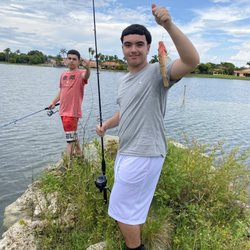 The Fishing Game - Fuck the fishing game bait shop