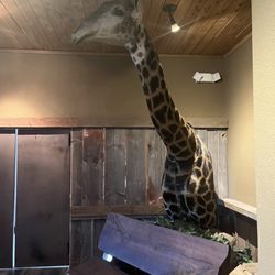 Bretz Wildlife Lodge & Winery