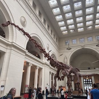 Field Museum - Museums Near Me - Chicago, Illinois