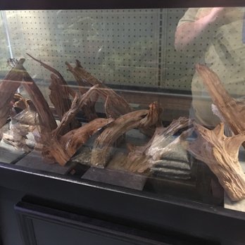 Ultimate Fish - Driftwood 25$ range - Aquarium Services Near Me - Spring, Texas Ultimate Fish - Driftwood 25$ range - Aquarium Services Near Me - Spring, Texas