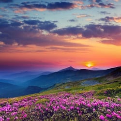 Pure Serenity Therapeutic Massage