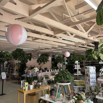 Terra Bella Nursery - Nurseries & Gardening Near Me - Del Mar, California Terra Bella Nursery - Nurseries & Gardening Near Me - Del Mar, California