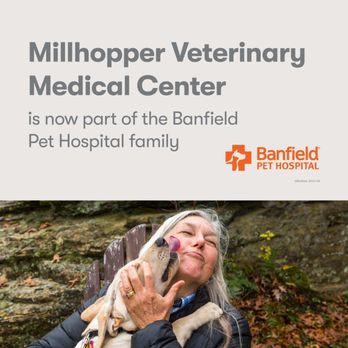 Millhopper - Veterinarians Near Me - Gainesville, Florida