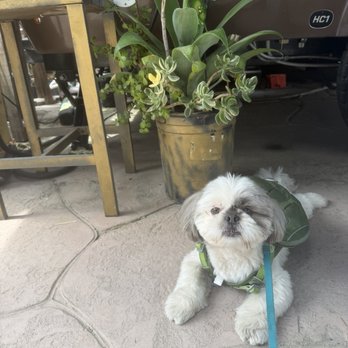 Happier Cafe by TADAA.Coffee - Coffee & Tea Near Me - Los Angeles, California Happier Cafe by TADAA.Coffee - Coffee & Tea Near Me - Los Angeles, California