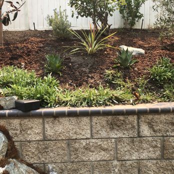 Moon Valley Nurseries - Tree Services Near Me - Irvine, California Moon Valley Nurseries - Tree Services Near Me - Irvine, California