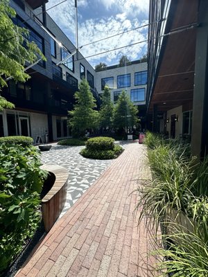 Montrose Collective by null