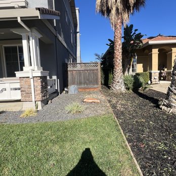 Better Tree Care - When they were done. - Tree Services Near Me