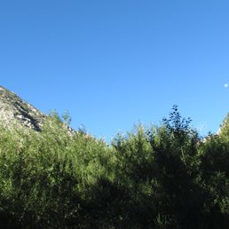 View from Site 18