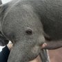 Photo of Charlottesville Veterinary Hospital