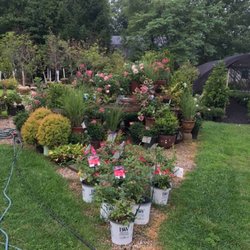 Beachside Gardens & Gift Center - Shrubs & Perennials