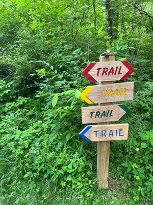 Caesar Creek State Park by null