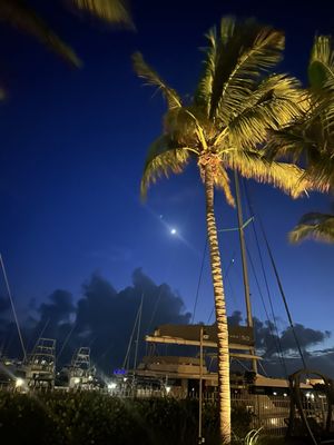 Oceans Edge Resort & Marina by null