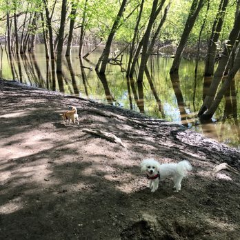 Minnehaha Off-Leash Recreation Area - Dog Parks Near Me - Minneapolis, Minnesota Minnehaha Off-Leash Recreation Area - Dog Parks Near Me - Minneapolis, Minnesota