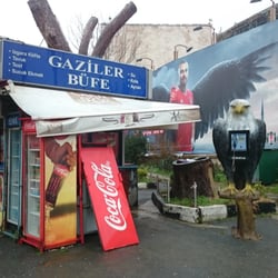 Bufenin genel goruntusu