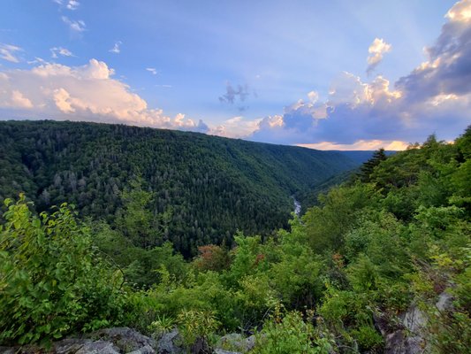 Blackwater Falls by null