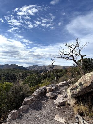 Chiricahua National Monument by null