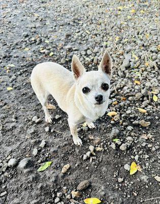 Coconut Glen's by null