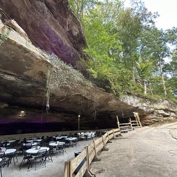 Rattlesnake Saloon - Enjoy! - Bars Near Me - Tuscumbia, Alabama Rattlesnake Saloon - Enjoy! - Bars Near Me - Tuscumbia, Alabama