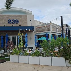 The 239 Naples