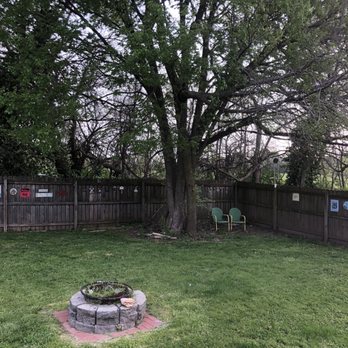 Legacy Service Company - Before tree removal - Junk Removal & Hauling Near Me - Fordland, Missouri