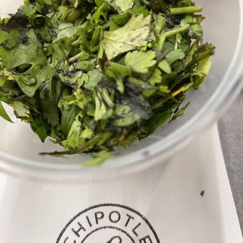 Northfield Garden - They replaced spoiled rotten cilantro with another spoiled rotten cilantro!! - Chinese Near Me - Northfield, New Jersey Northfield Garden - They replaced spoiled rotten cilantro with another spoiled rotten cilantro!! - Chinese Near Me - Northfield, New Jersey