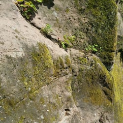 Burgruine Elmstein - Burgfels