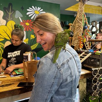 Put a Plant On It - Flowers & Gifts Near Me - Buffalo, New York