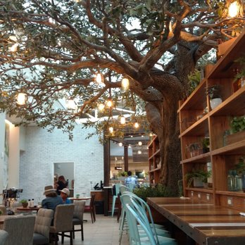 Cask & Larder - Beautiful outdoor decor - Indoors! - Southern Near Me - Orlando, Florida