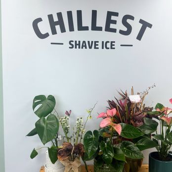 Chillest Shave Ice - Signage.   Cute decor. - Shaved Ice Near Me - Honolulu, Hawaii
