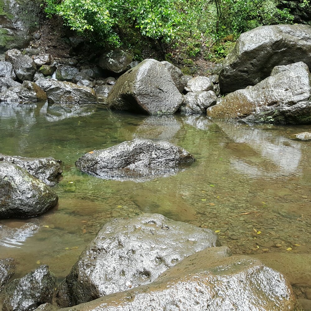 Lulumahu Falls - Hiking Near Me - Honolulu, Hawaii Lulumahu Falls - Hiking Near Me - Honolulu, Hawaii