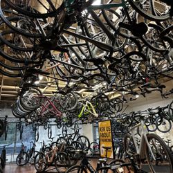 Mike's Bikes of Folsom