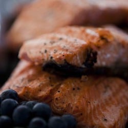 Treeline Catering