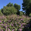 Bowden Park gift card