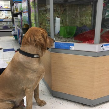 Petco - Pet Stores Near Me - Los Angeles, California Petco - Pet Stores Near Me - Los Angeles, California