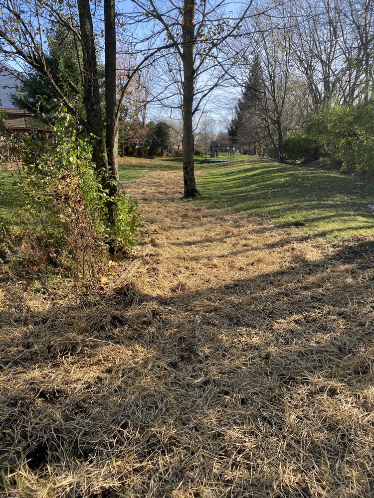 Slide of Buckeye Excavation