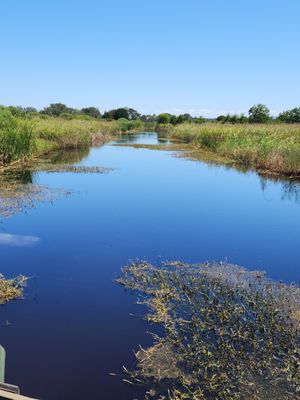 Caw Caw Interpretive Center by null