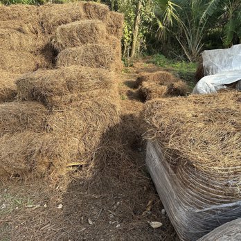 Mulch For You - Pine straw bales v rolls - Landscaping Near Me - Oviedo, Florida Mulch For You - Pine straw bales v rolls - Landscaping Near Me - Oviedo, Florida
