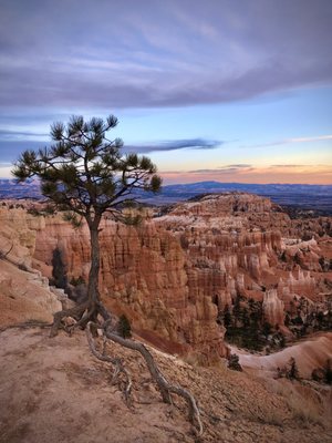 Bryce Amphitheater by null