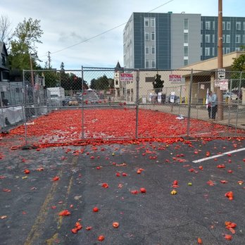 Tomato Romp! - The aftermath! Notice the tomatoes stuck I the chainlink fence. - Festivals Near Me - Milwaukee, Wisconsin