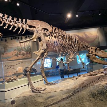 Field Museum - Museums Near Me - Chicago, Illinois
