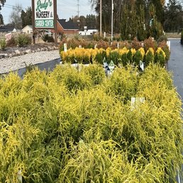 Exterior photo of Rudy's Nursery & Garden Center - Killen, Alabama Exterior photo of Rudy's Nursery & Garden Center - Killen, Alabama