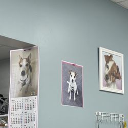 Han's Cleaners & Tailors - Rocky (9.27.24)