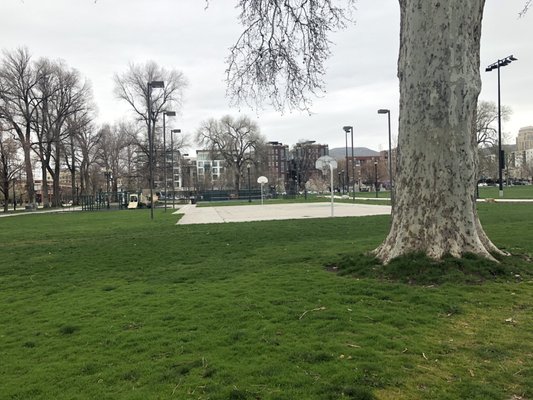 Pioneer Park by null