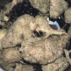 Ascend Cannabis Dispensary - Tinley Park