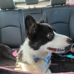 Finn after his groom