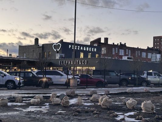 Elephant & Co. Detroit by null