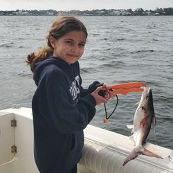 Gulf island charters